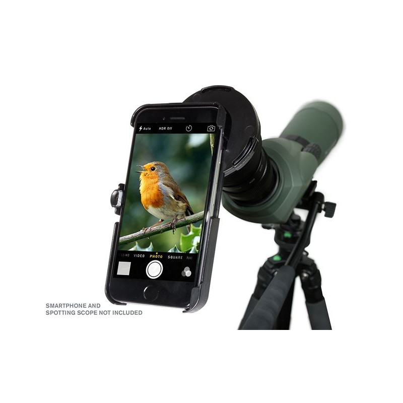 Celestron Smartphone-Adapter Regal für iPhone 6+