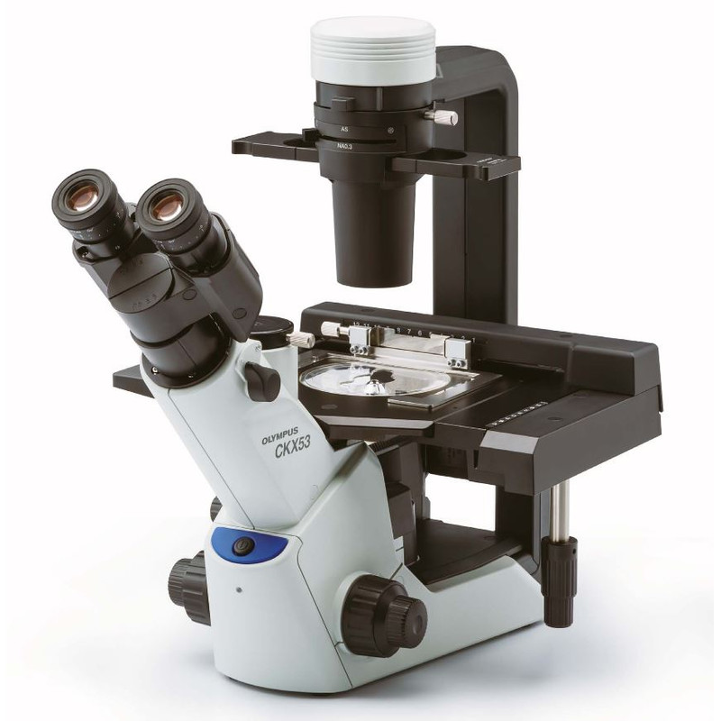 Microscope inversé Evident Olympus CKX53, trino, 100x, 200x, 400x, IPC/IVC x/y-stage