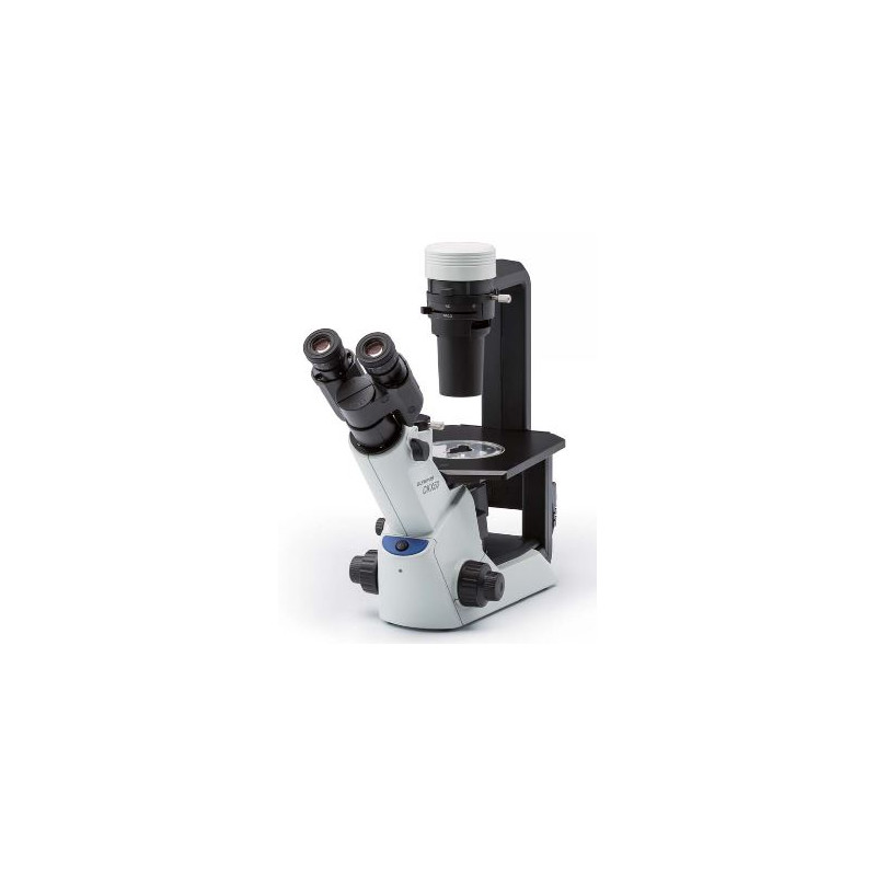 Microscope inversé Evident Olympus Olympus CKX53 Hellfeld V1, trino, 40x, 100x,