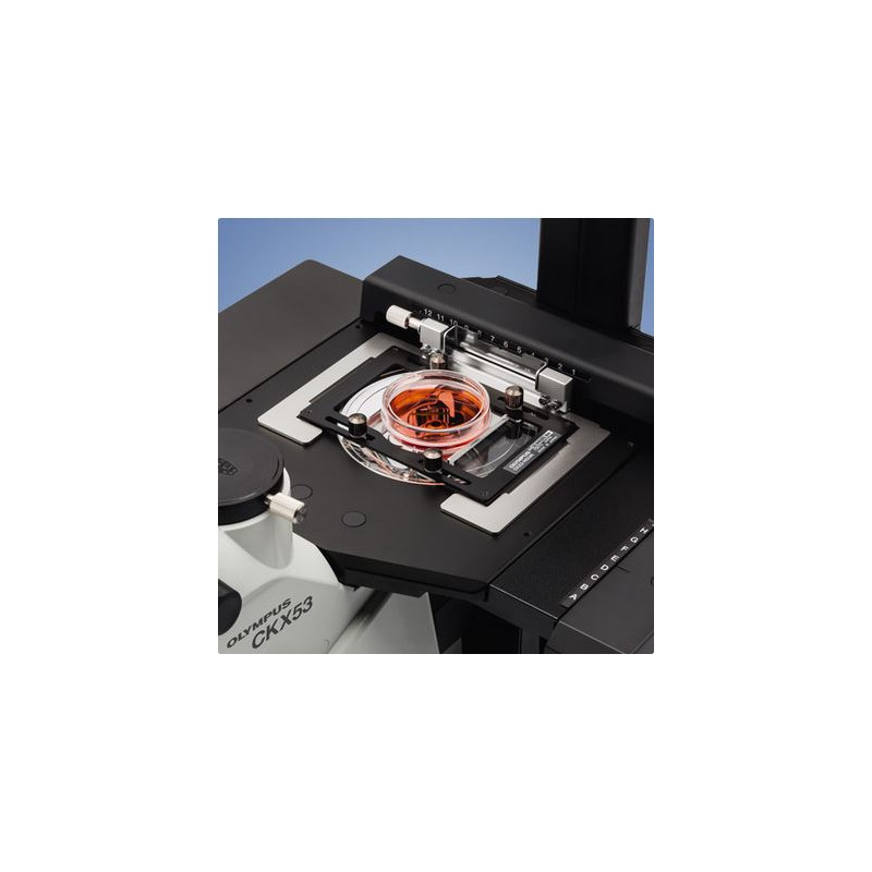 Microscope inversé Evident Olympus Olympus CKX53 IPC/IVC V1, PH, trino, infinity, achro, 10x, 20x, 40x, LED