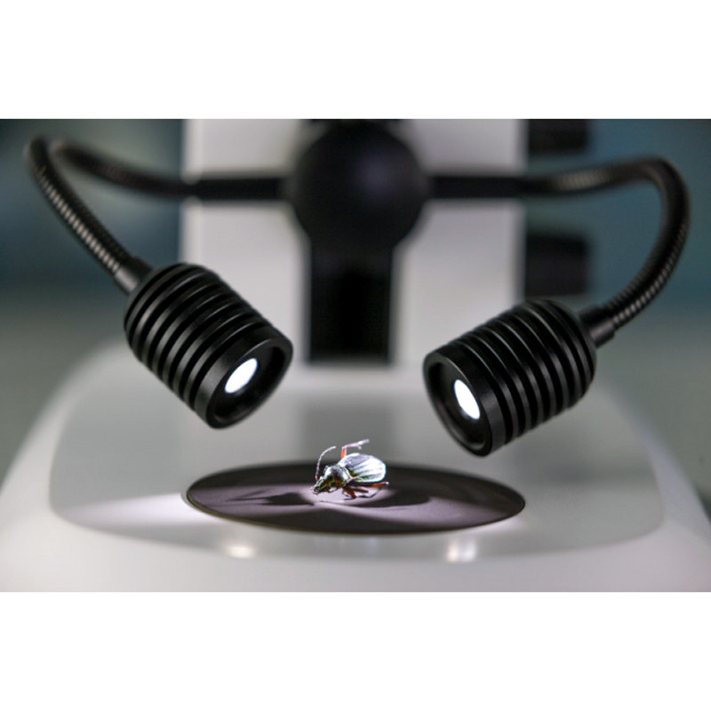 ZEISS Spot-Leuchte K LED