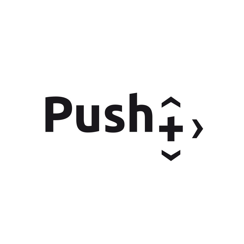 Omegon Montierung Push+