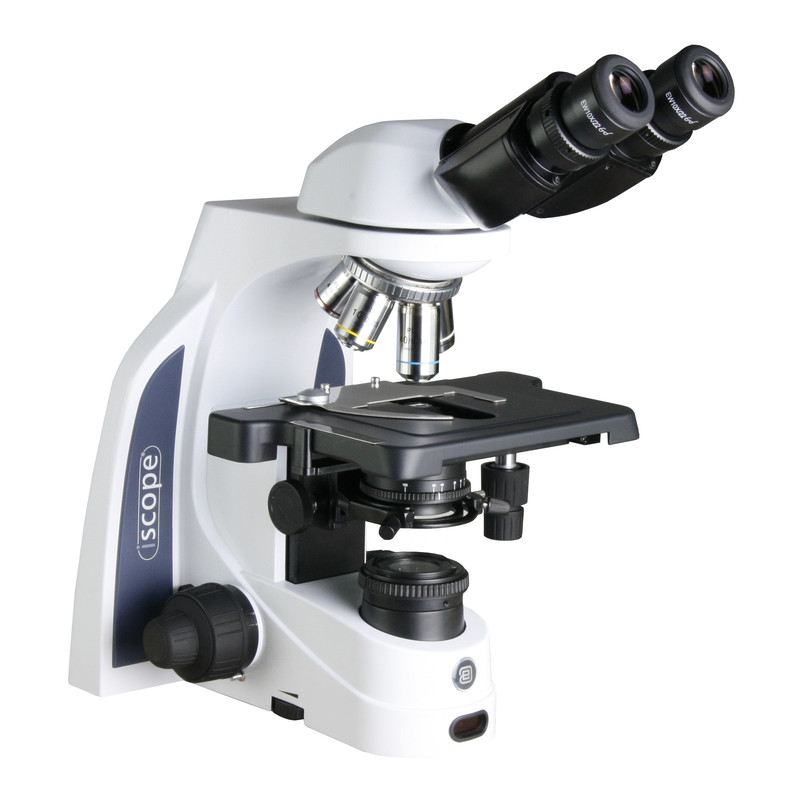 Microscope Euromex iScope IS.1152-PLi, bino, infinity, plan, 40x-1000x, iCare, LED