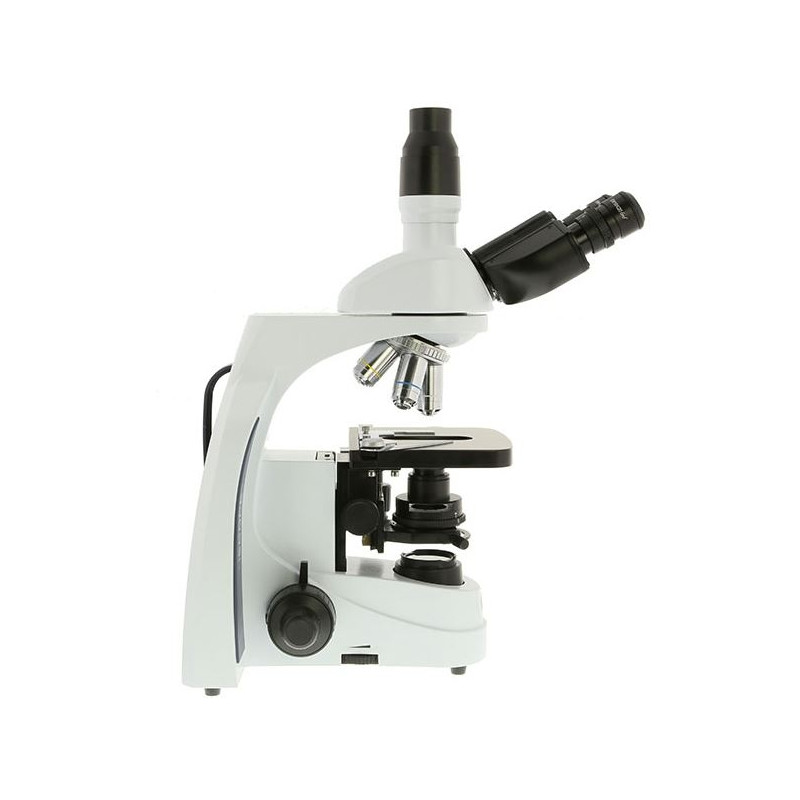 Euromex Mikroskop iScope IS.1153-EPLi, trino