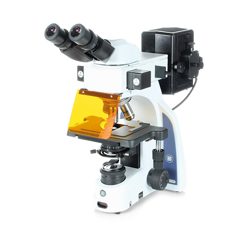 Microscope Euromex iScope, IS.3152-PLi/3, bino
