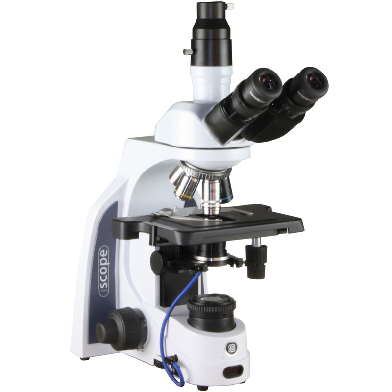 Microscope Euromex iScope IS.1153-PLi/DFI, DF, trino, infinity, plan, 4x-100x, 100x iris, IOS, spring, iCare, LED, 3W