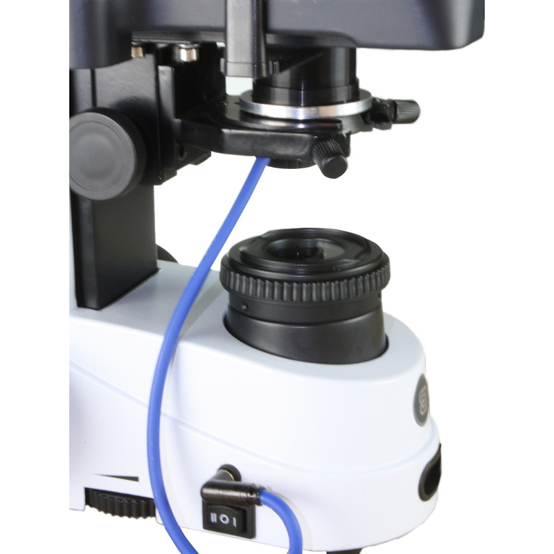Microscope Euromex iScope IS.1153-PLi/DFI, DF, trino, infinity, plan, 4x-100x, 100x iris, IOS, spring, iCare, LED, 3W