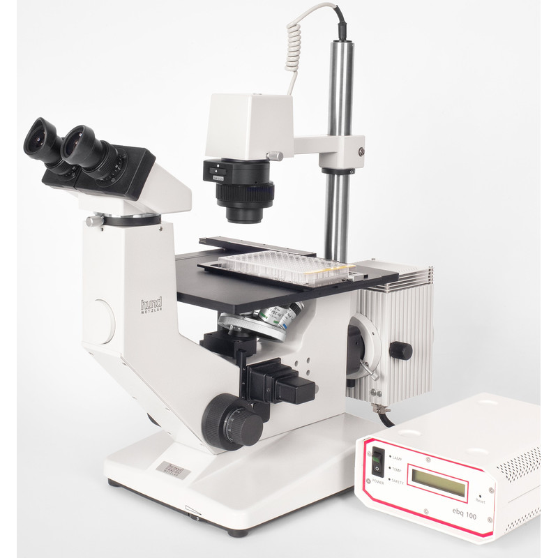 Microscope inversé Hund Wilovert AFL 20, bino