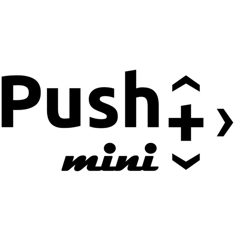 Omegon Montierung Push+ Go mini