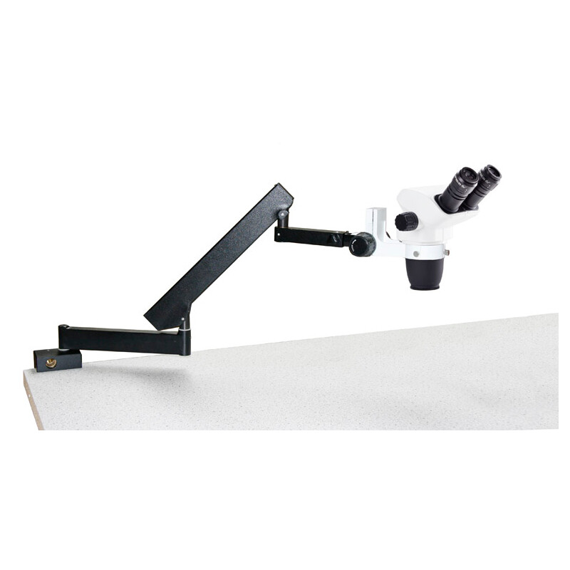 Euromex Zoom-Stereomikroskop NZ.1702-A, NexiusZoom EVO, 6,5x to 55x, articulated stand, w.o. illumination, bino