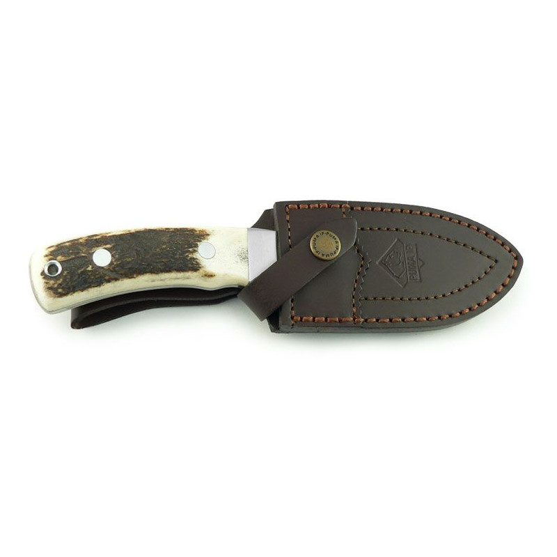 Jumelles Minox BL 8x56 HD Set gibier noir