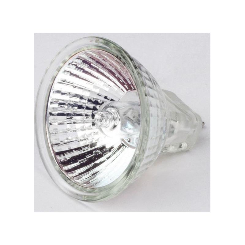 Motic Halogen-Ersatzlampe 12V/10W für R2GG-Stativ (Auflicht) (SMZ-161)