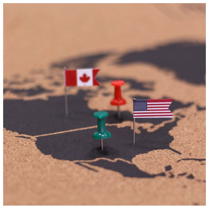 Mappemonde Miss Wood Woody Map Natural Cork L black