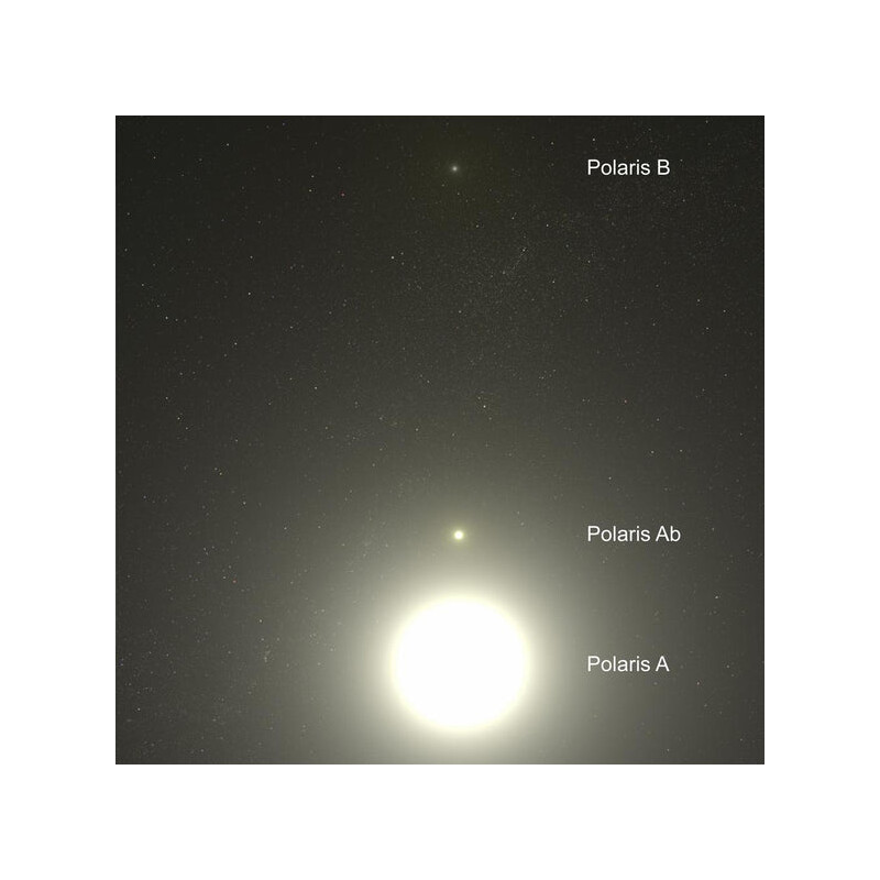 Celestial Buddies Polaris Ab et Polaris B