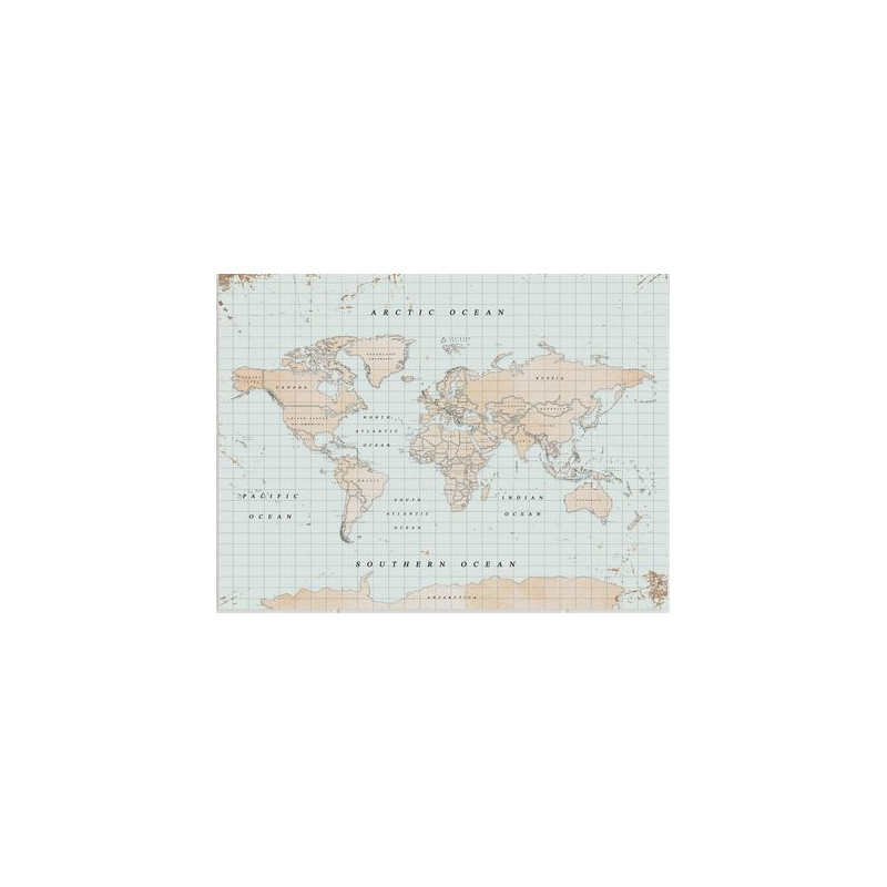 Mappemonde Miss Wood Woody Map Watercolor Vintage L