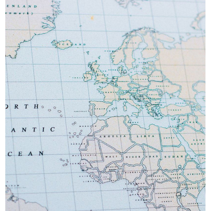 Mappemonde Miss Wood Woody Map Watercolor Vintage L