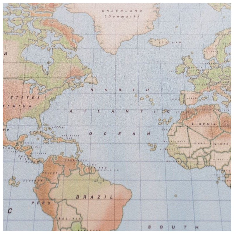 Mappemonde Miss Wood Woody Map Watercolor Physical L