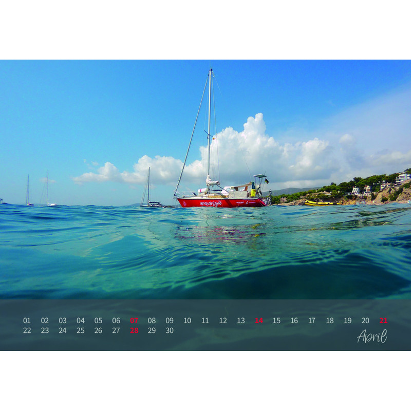 aracanga Kalender 2019