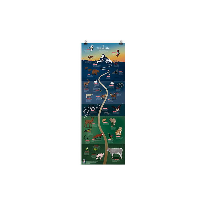 Marmota Maps Poster Alpentiere