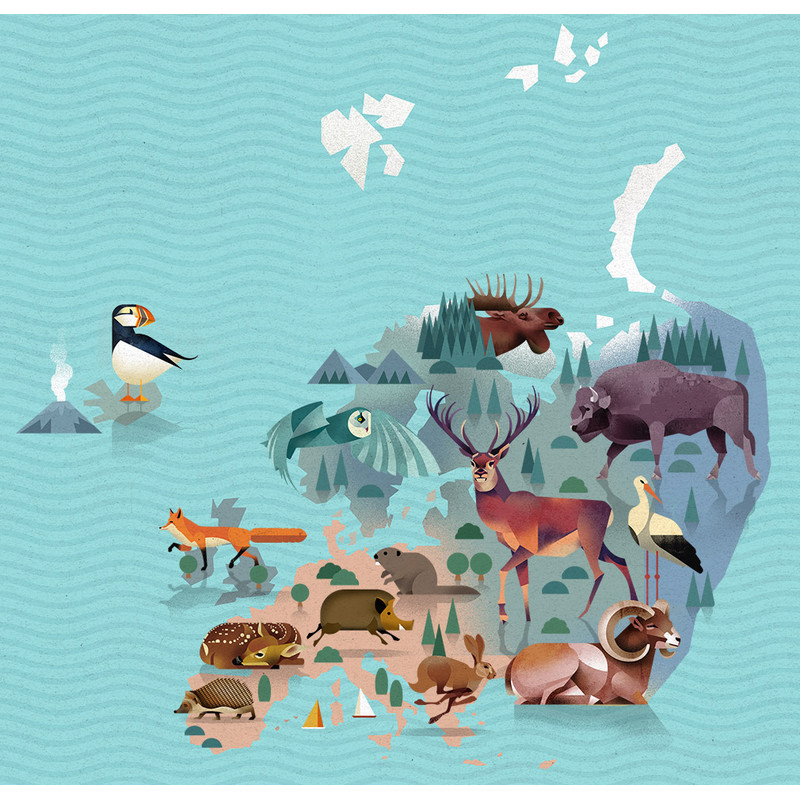 Mappemonde Marmota Maps World of Animals