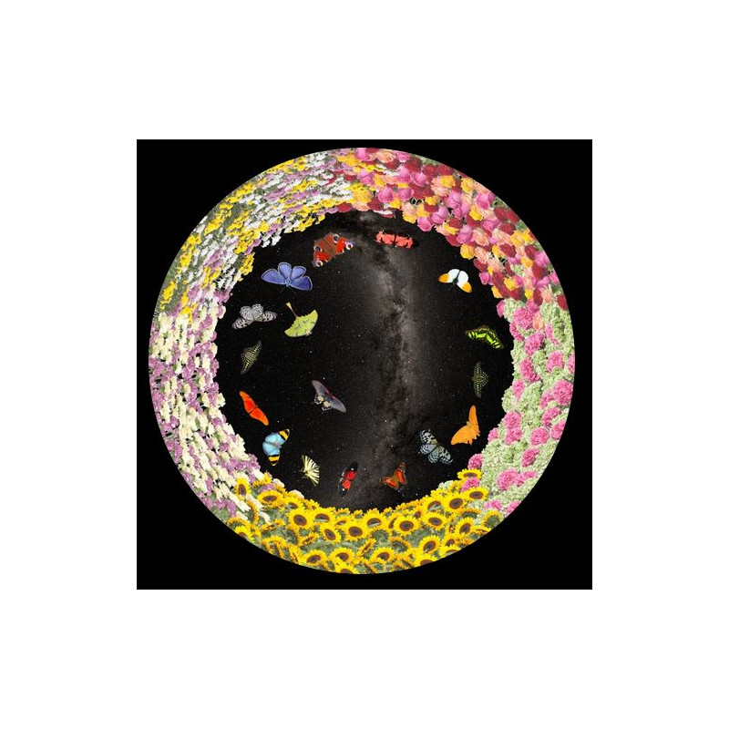 astrial Diapositive pour le Planetarium Homestar de Sega Fleurs et papillons