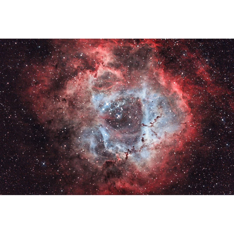 OPT Triad Ultra Quad Band Filtre à bande étroite 1,25