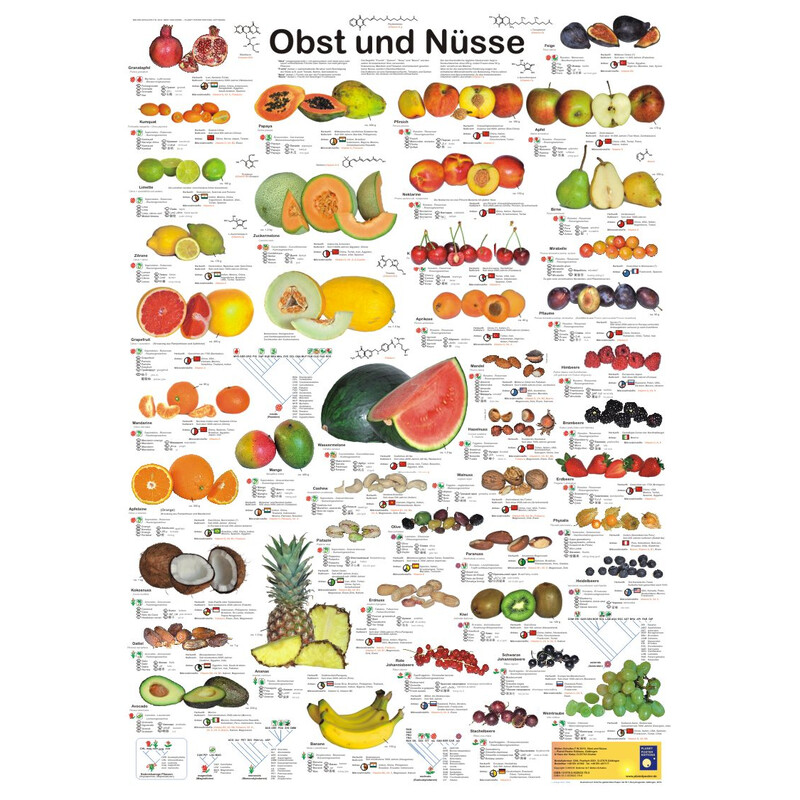 Affiche Planet Poster Editions Obst und Nüsse
