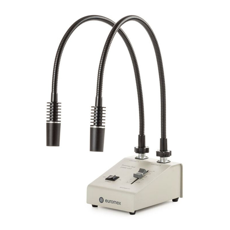 Euromex Source de lumière LE.5207, avec 2 cols de cygne Conducteurs optiques 2x3W, 6500K