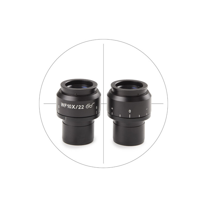 Euromex Oculaire micrométrique NZ.6210-C, 10x/22 mm SWF, réticule (Nexius EVO)