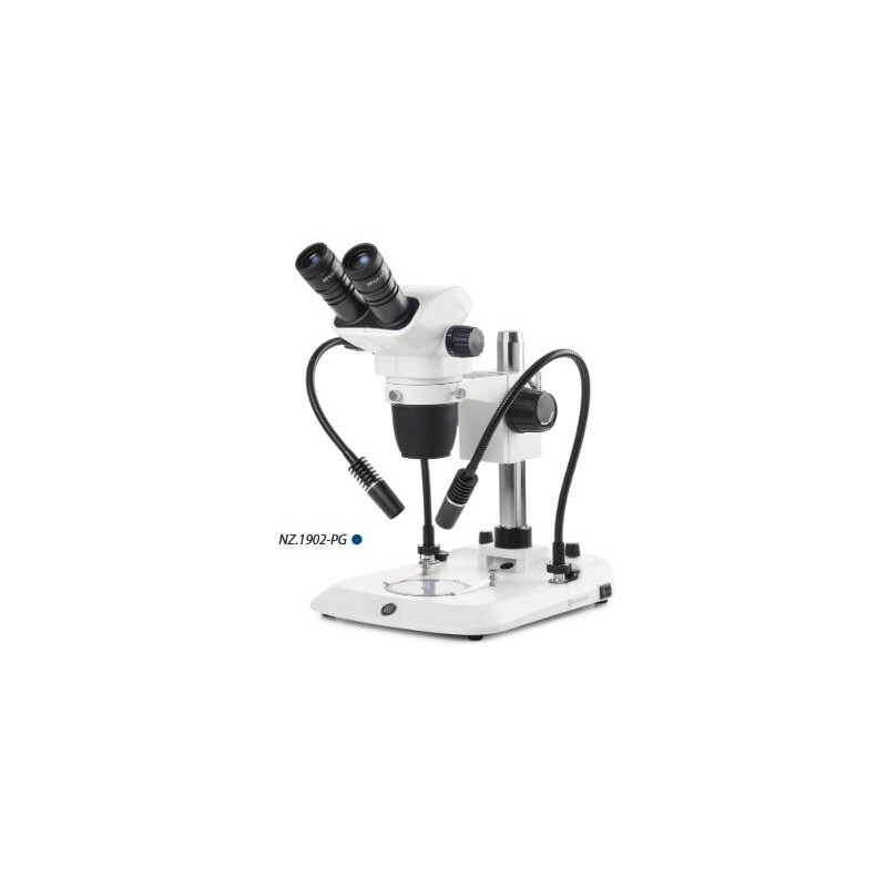 Microscope stéréo zoom Euromex NZ.1702-PG, 6.5-55x, Colonne, 2 Cols de cygne, Lumière transmise, bino