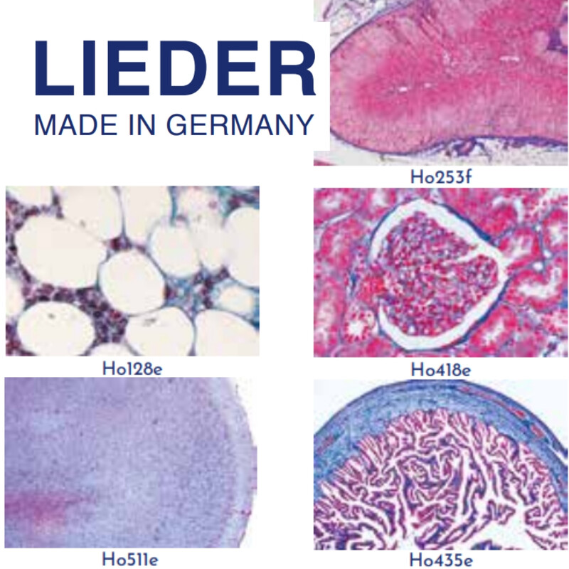 LIEDER Normale Histologie des Menschen, Große Spezialserie, 100 Präparate (Färbung meist Hämatoxylin-Eosin)