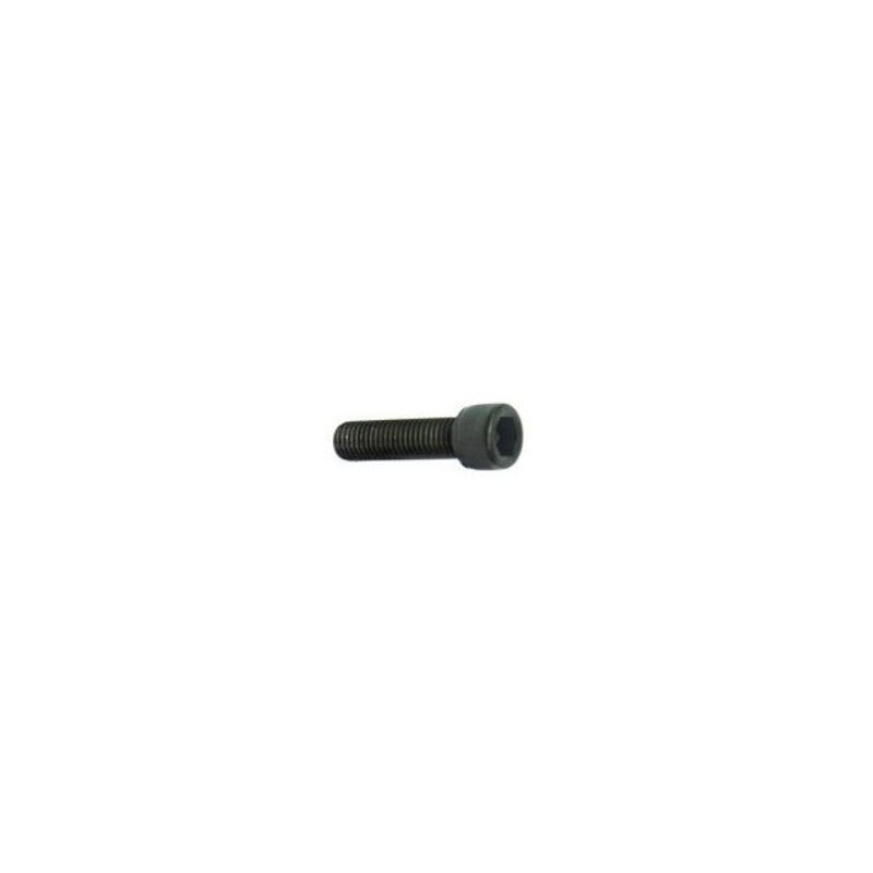 Artesky Fotoschraube 1/4" Innensechskant 13mm