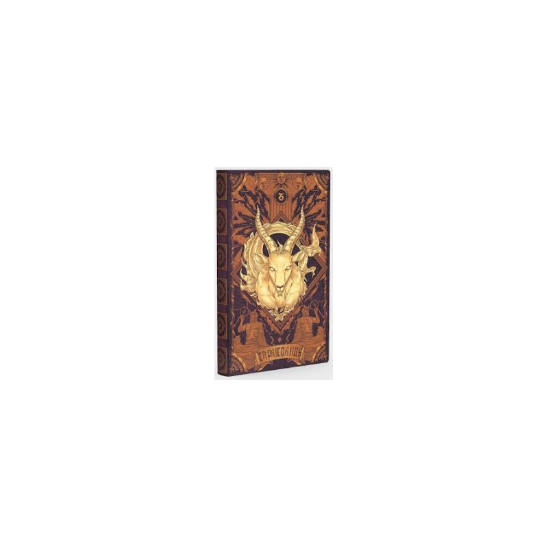 AstroReality Carnet de notes Zodiac Notebook - Capricorn
