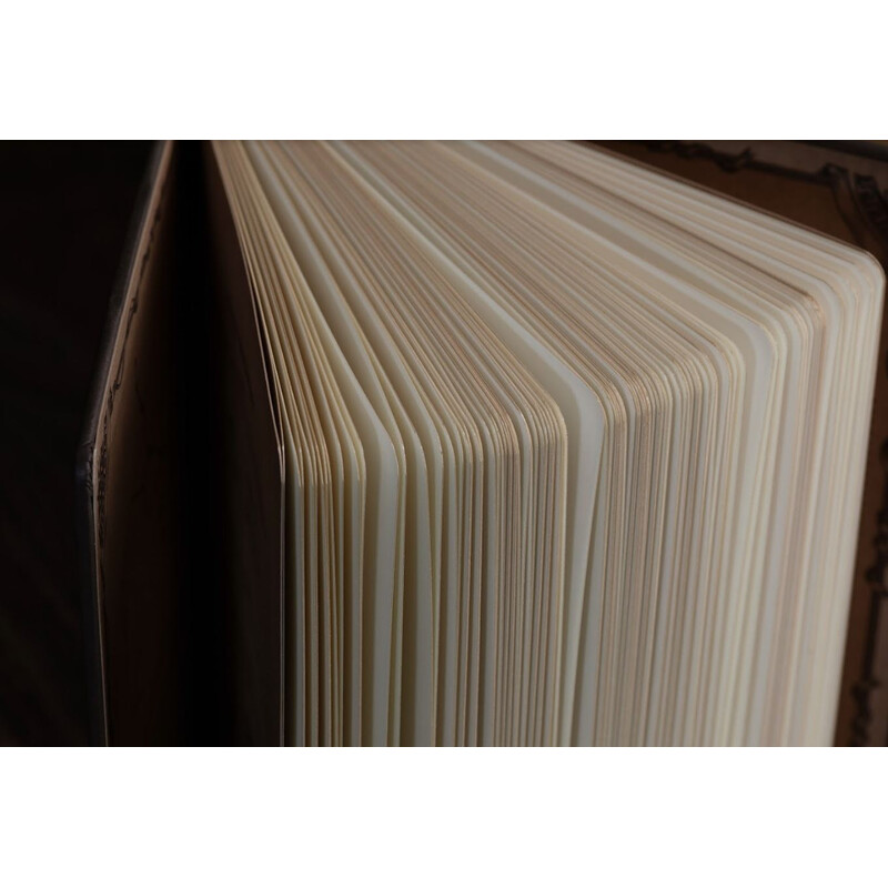 AstroReality Carnet de notes Zodiac Notebook - Leo