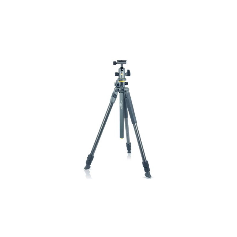Trépied en carbone Vanguard Alta Pro 2+ 263CB 100