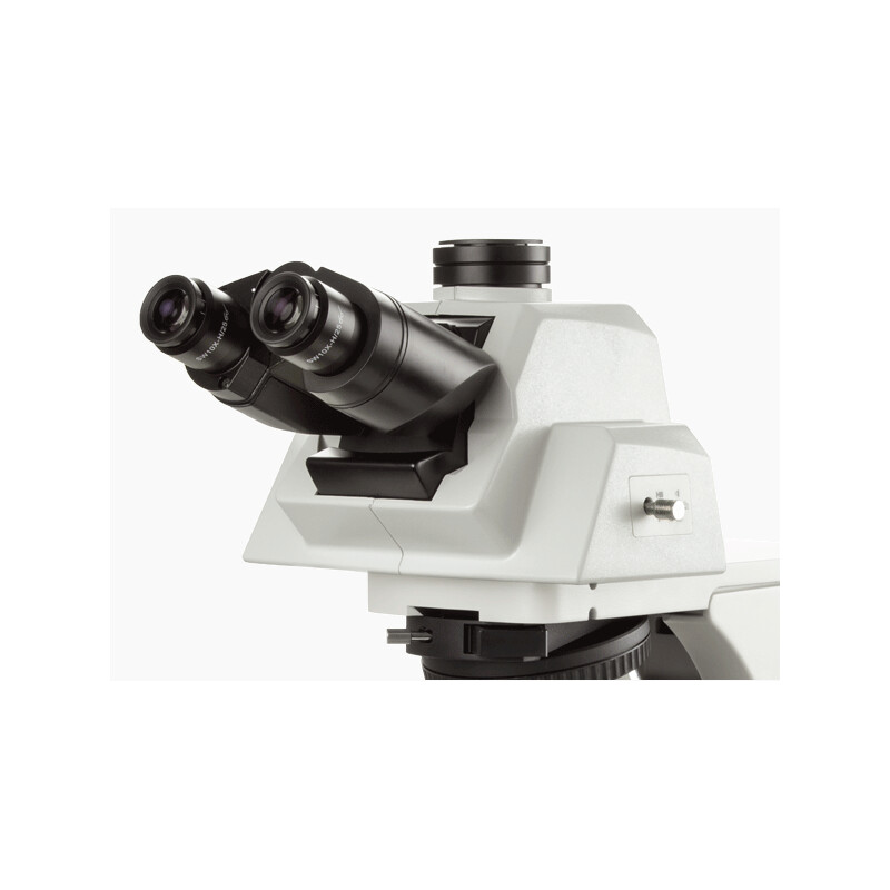 Microscope Euromex Mikroskop DX.1158-APLi, trino, plan, apo, 40x-1000x, ergo head, AL, LED-3W