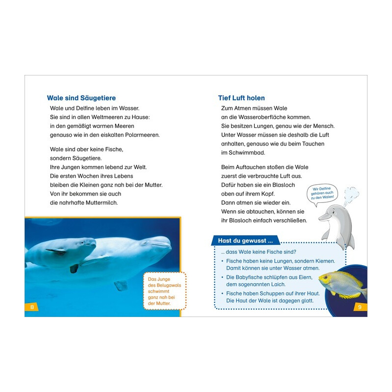 Tessloff-Verlag WAS IST WAS Première lecture : Baleines et dauphins