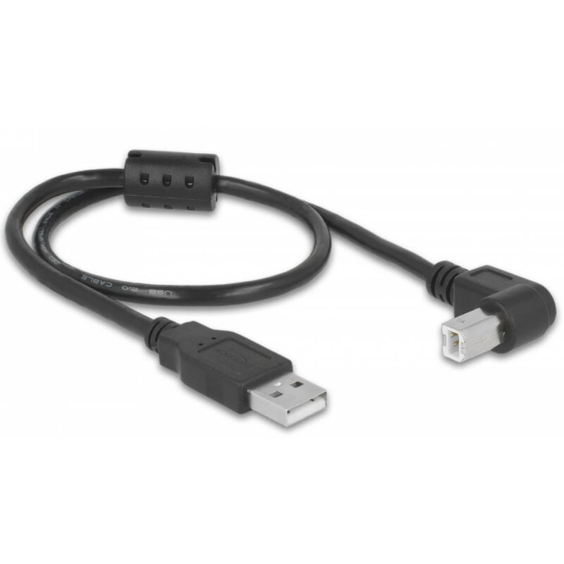 PegasusAstro Kit de câbles USB 2x USB2.0 Type-B 50cm