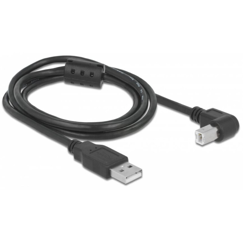 PegasusAstro Kit de câbles USB 2x USB2.0 Type-B 1m
