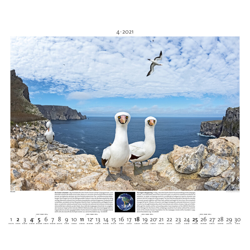 Calendrier Palazzi Verlag Planet Erde 2021