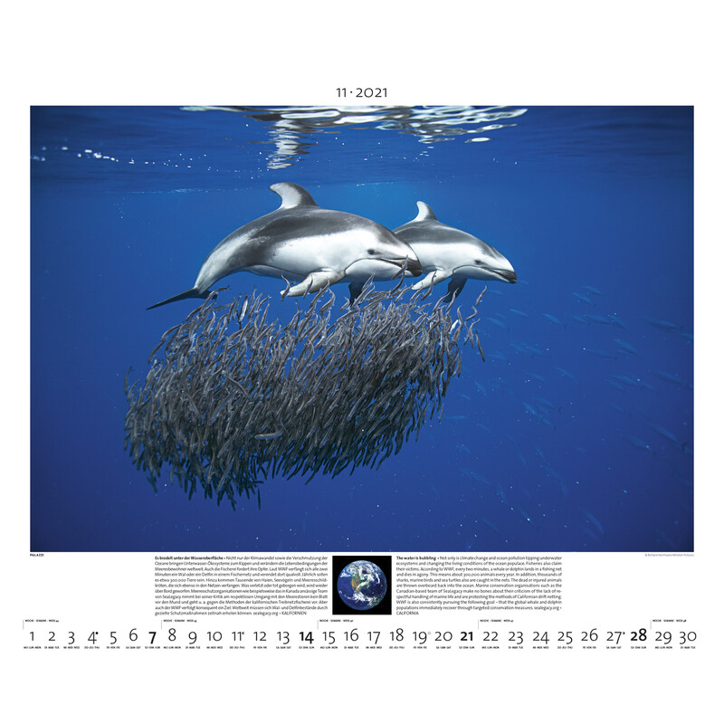 Calendrier Palazzi Verlag Planet Erde 2021