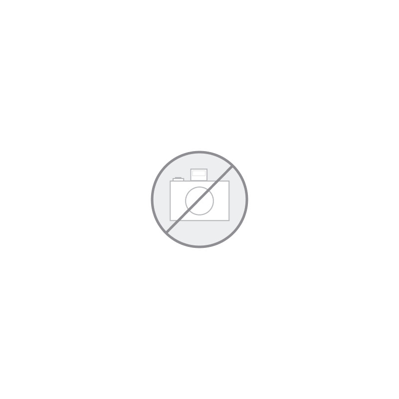 ZEISS Objectif 100x/1,25 , huile, phase, i-plan, achro, w.d. = 0,27 mm (Primo 3)
