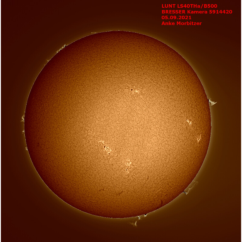 Télescope solaire Lunt Solar Systems ST 40/400 LS40T Ha B1200