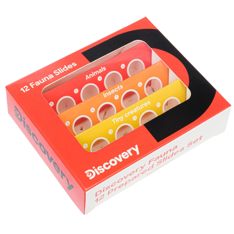 Discovery Kit de Lames préparées Fauna 12