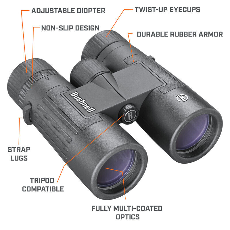 Bushnell Fernglas Legend 8x42 Dachkant, schwarz, FMC