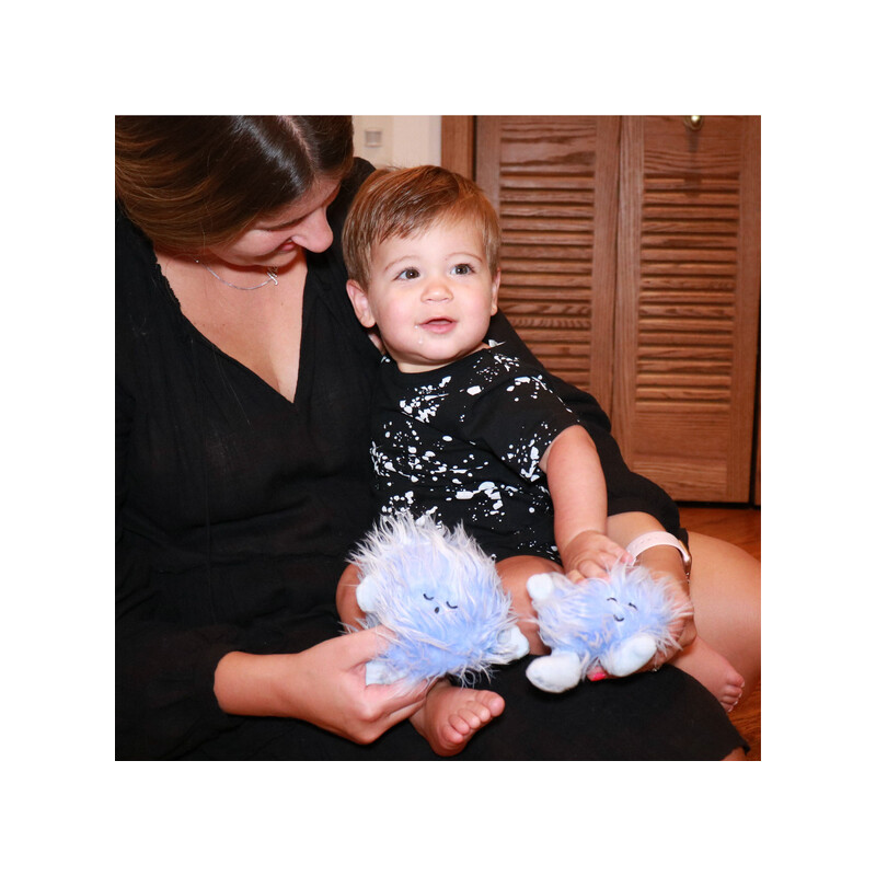 Celestial Buddies Polaris Ab et Polaris B