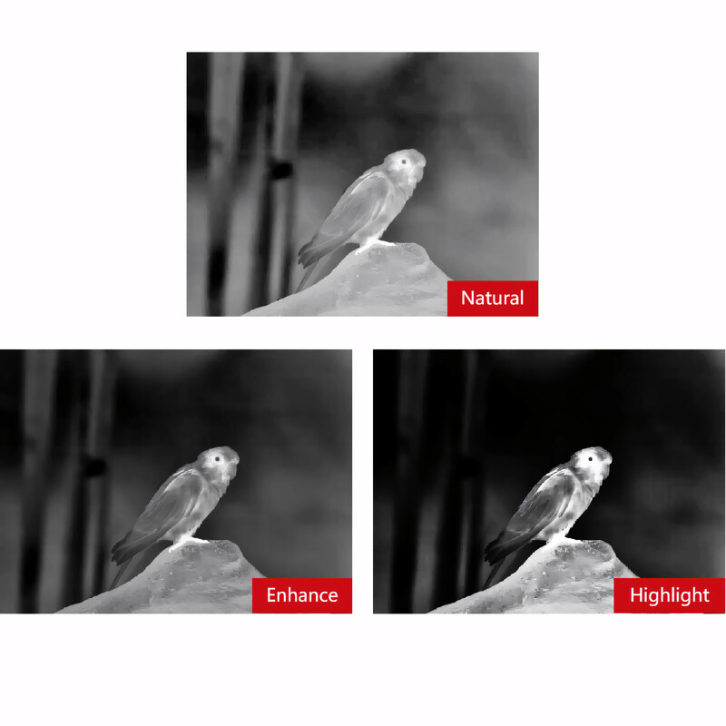 Guide Caméra à imagerie thermique TN650
