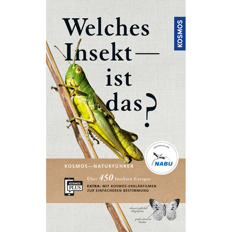 Kosmos Verlag Welches Insekt ist das?