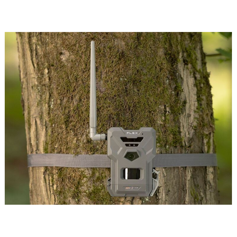 Appareil-photo spécial gibier Spypoint - Caméra de chasse FLEX