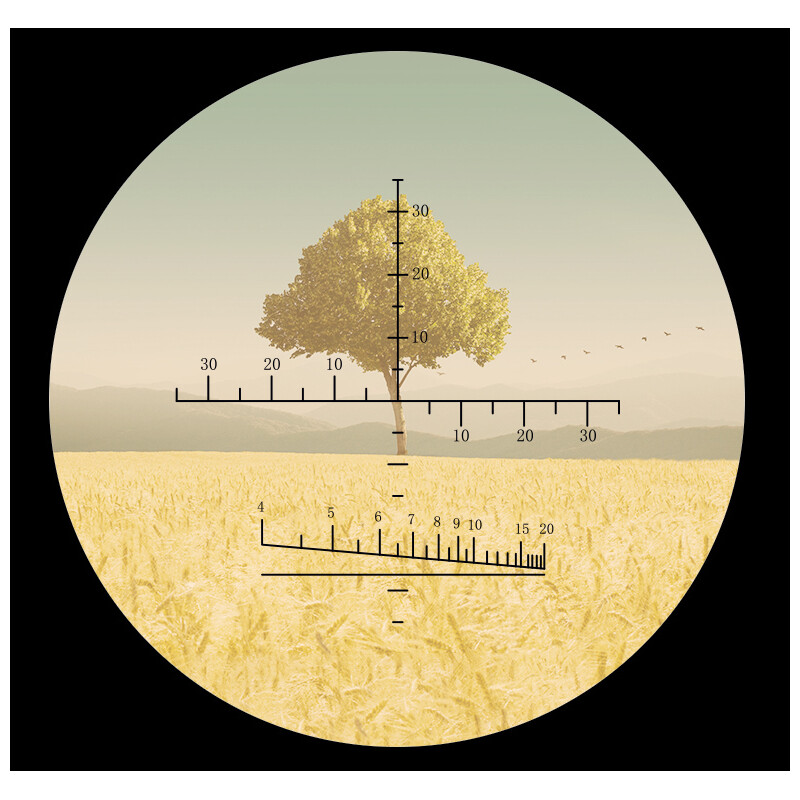 Levenhuk Fernglas 10x42 Camo Pine